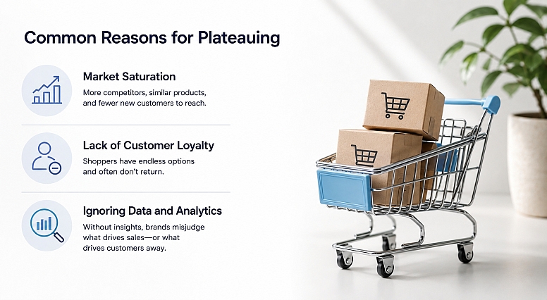 common reasons for plateauing in business