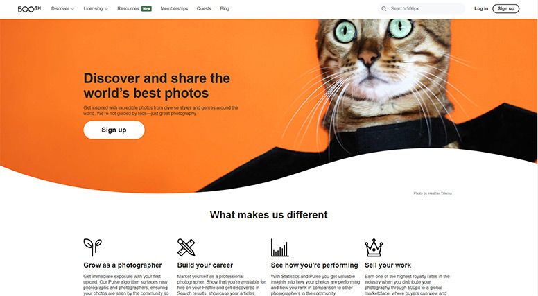 500px