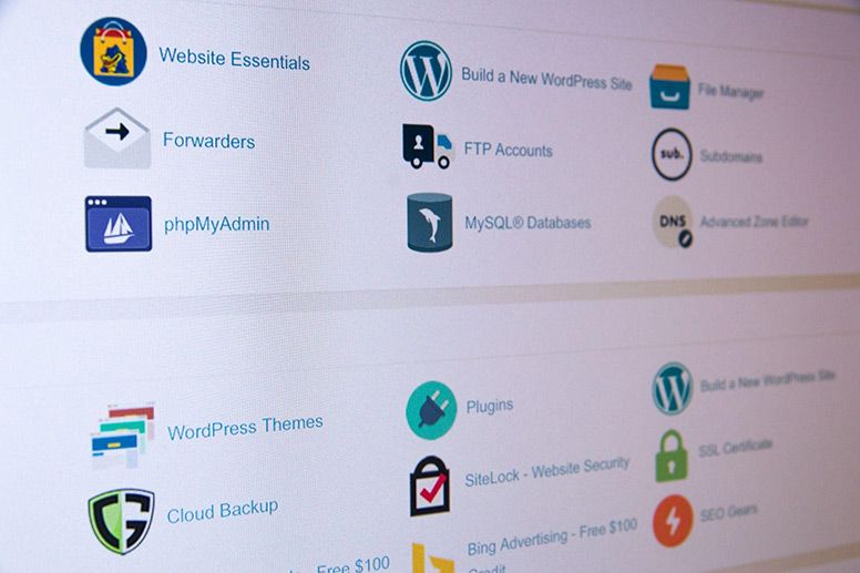 WordPress Website