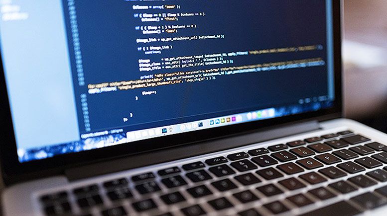 Decide which type of web design is the right one for you.
