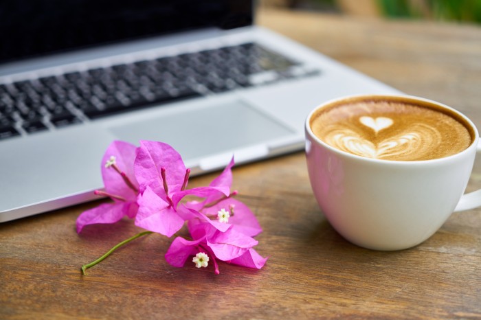 Web Design & Development