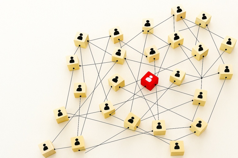 Entity Seo