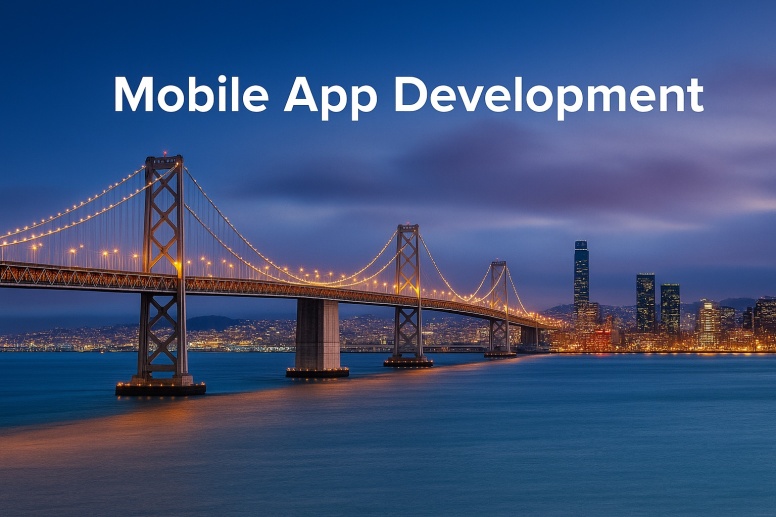 Shopify Vs Custom App Which One For San Francisco Merchants Shopify Vs Custom App Which One For San Francisco Merchants