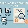 Understanding Business Tax Compliance In UAE